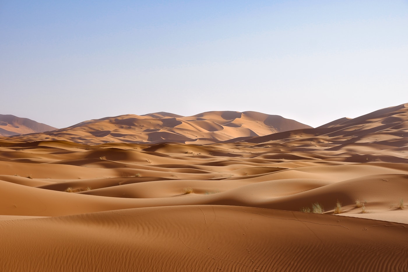 Desert Safari Bedouin camp stargazing Sinai Peninsula