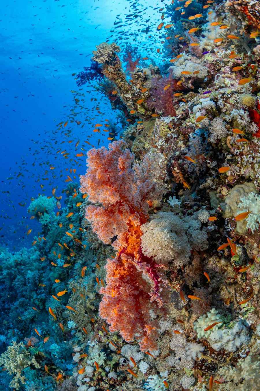Blue Hole Dahab world famous diving site Red Sea