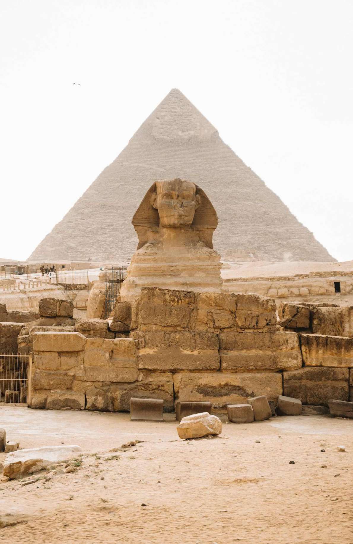 Grand Egyptian Museum largest archaeological museum in the world