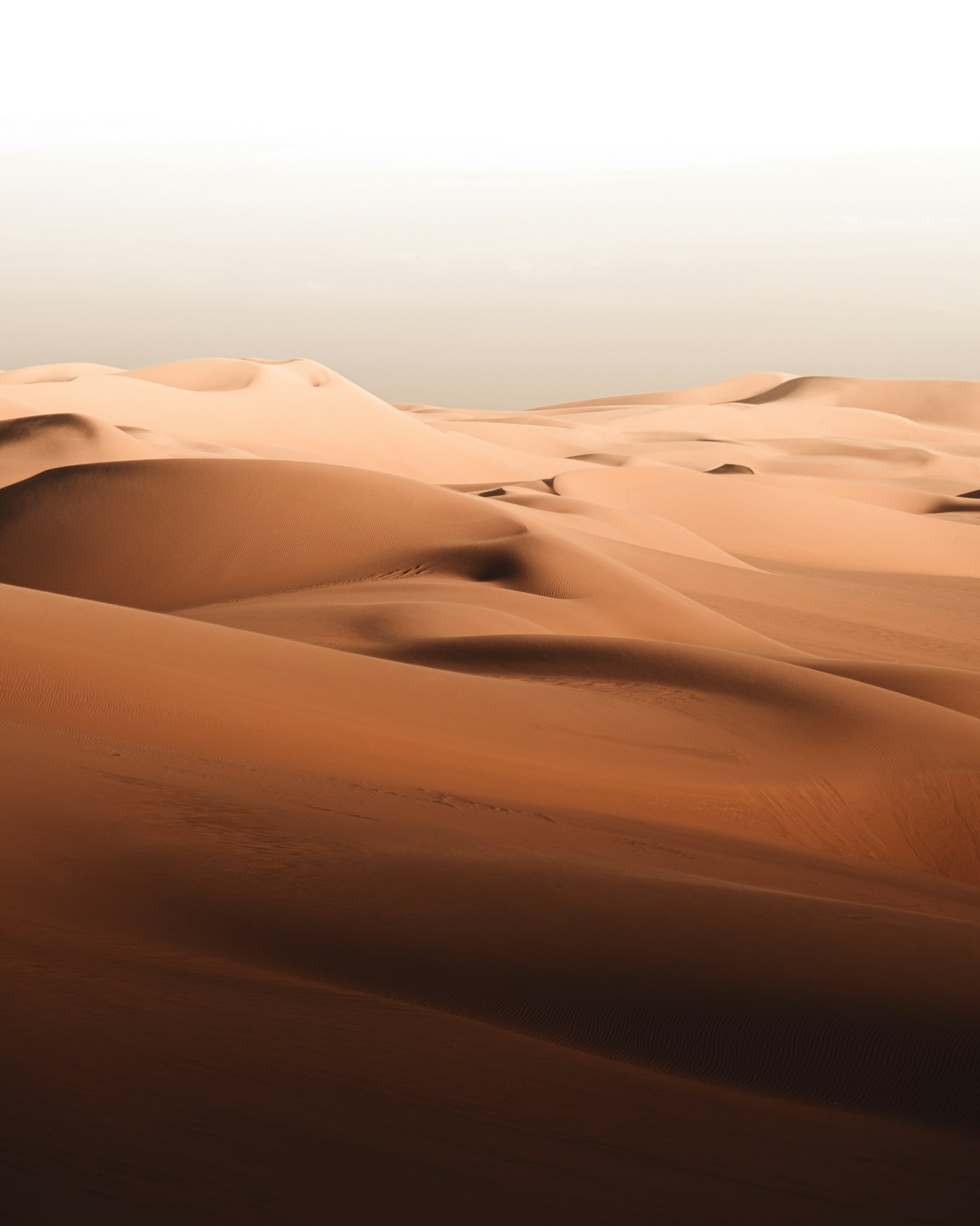Sahara dune safari golden sand dunes Siwa Egypt